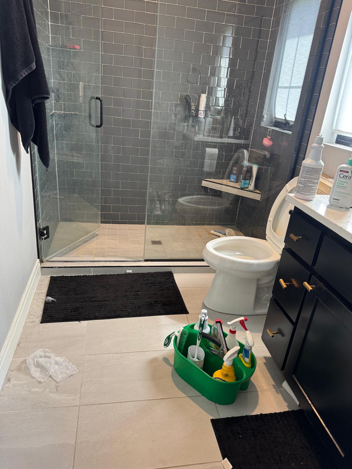 Full bathroom sanitization — Royal Shine Madison WI