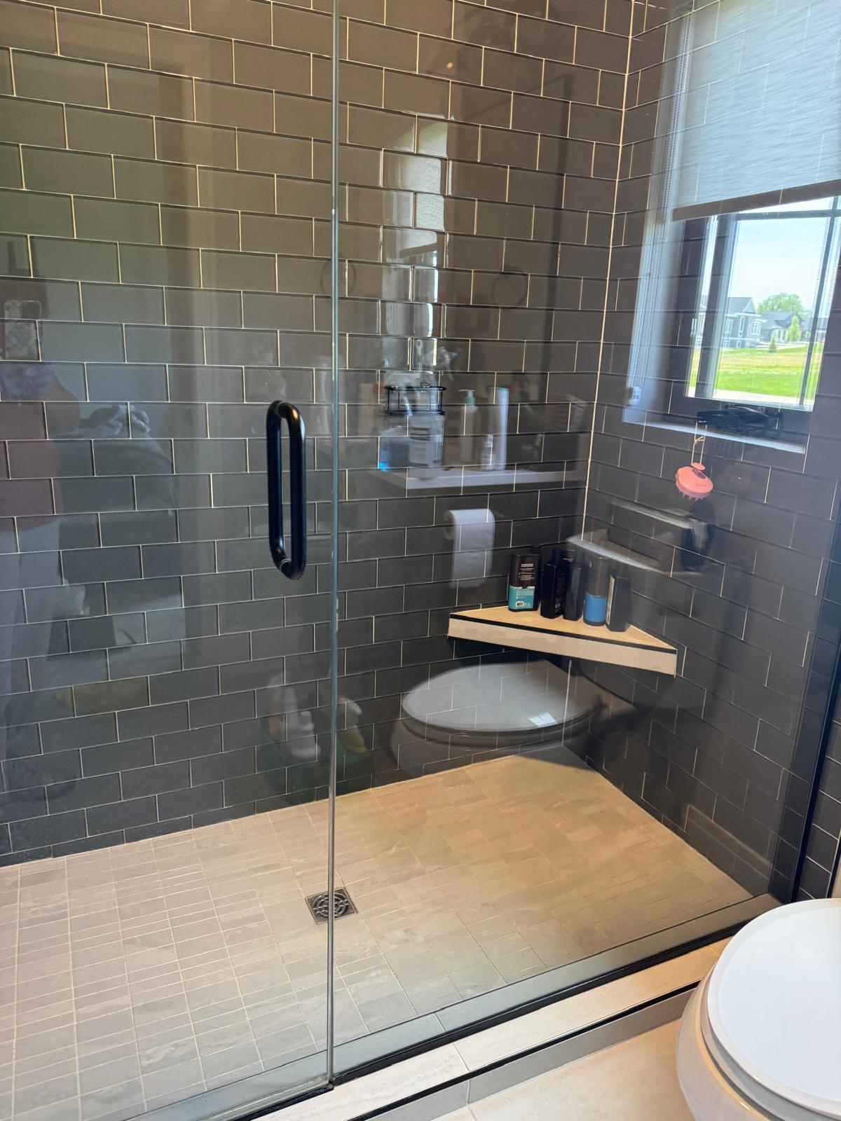 Living room deep extraction — Madison, WI — Royal Shine Madison WI